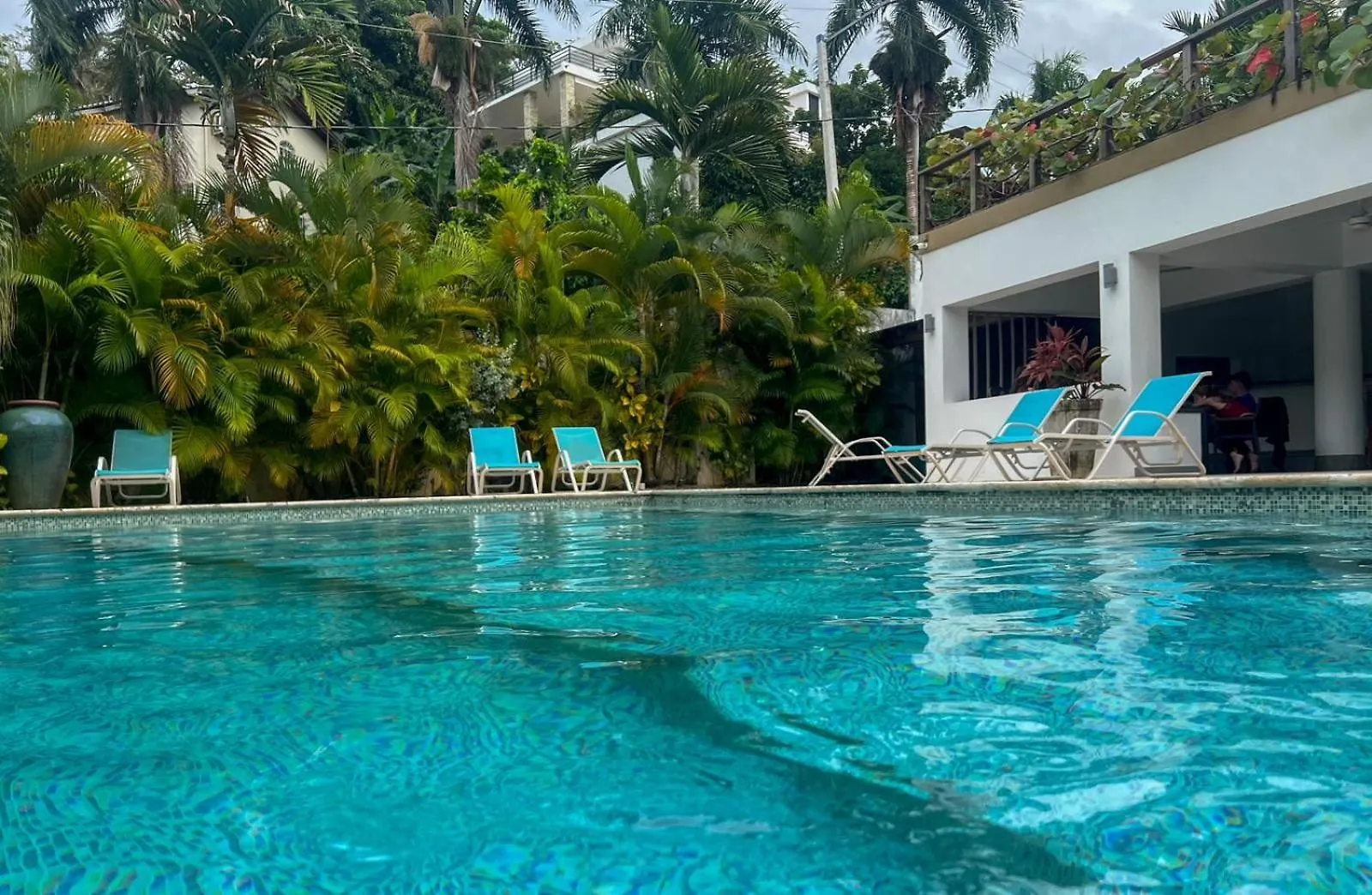 Magnifique Studio Toute Comodite Las Terrenas Apartment