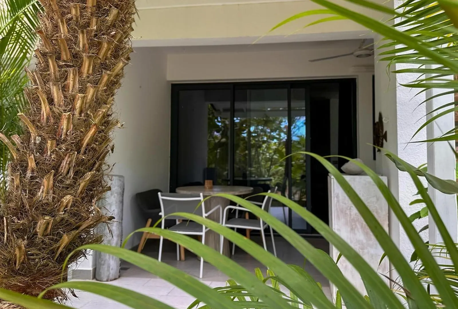 Magnifique Studio Toute Comodite Las Terrenas Apartment